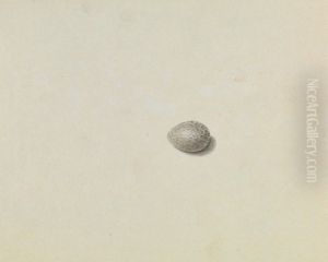 A Bird's Egg by James Sowerby