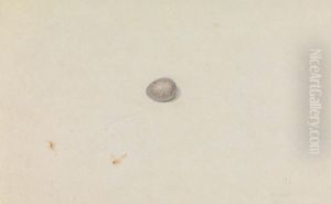 A Bird's Egg by James Sowerby