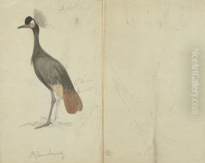 A Crane