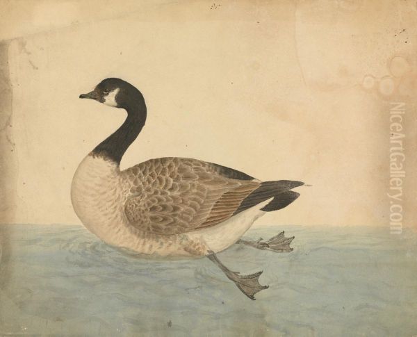 A Goose - view 1