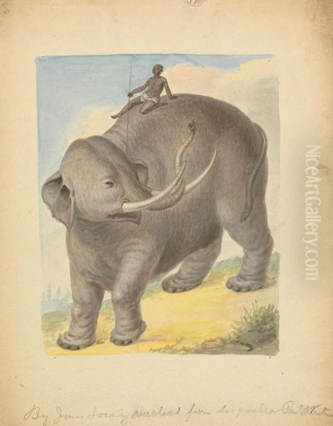 Elephant with Rider - view 1