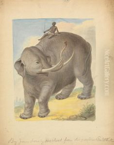 Elephant with Rider by James Sowerby