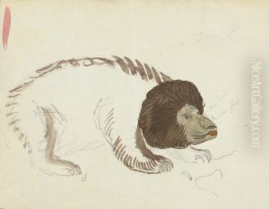 A Bear