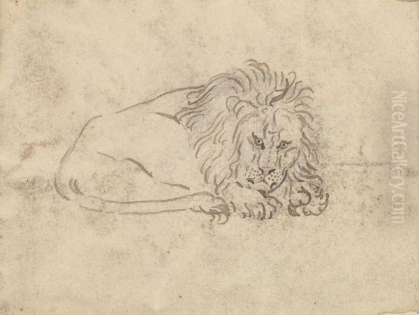 A Lion - view 1