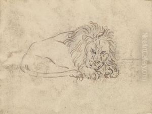 A Lion