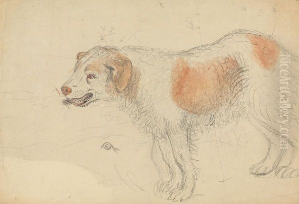 A Dog - view 1