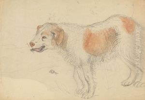A Dog