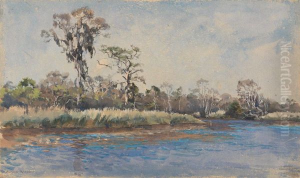 A Creek at Wilmington, N.C. - view 1