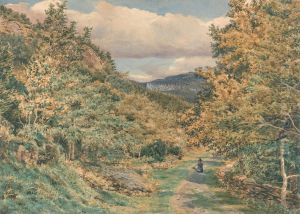A Road Near Bettws-y-Coed