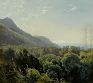 Hilly Landscape