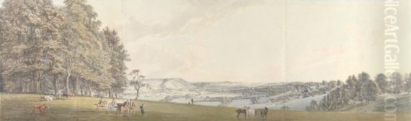 A View of Boxhill from Norbury Park, Surrey - view 1