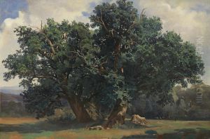 Paysage Aux Chenes