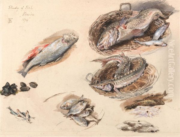 Study of Fish, Venice - view 1