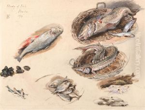 Study of Fish, Venice Study of Fish, Venice