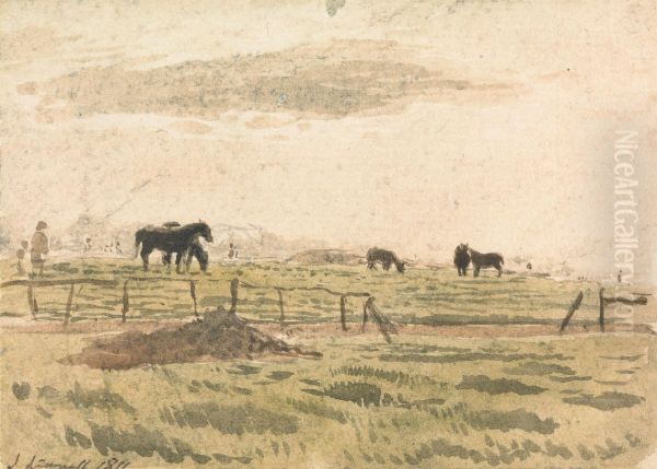 Horses in a Paddock - view 1