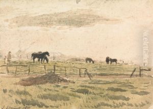 Horses in a Paddock