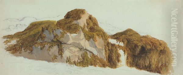 Study of Rocks Covered with Seaweed - view 1
