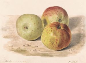 A Still Life Study of Three Apples by James Sillett