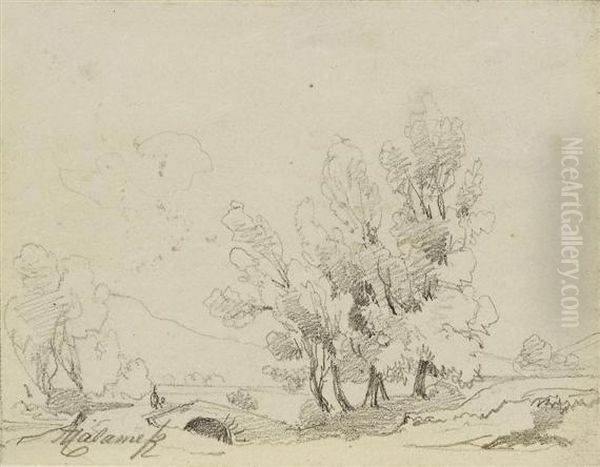 Landscape Study - view 1
