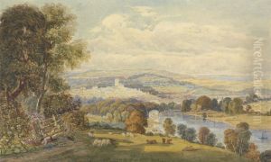View of Totnes, Devon