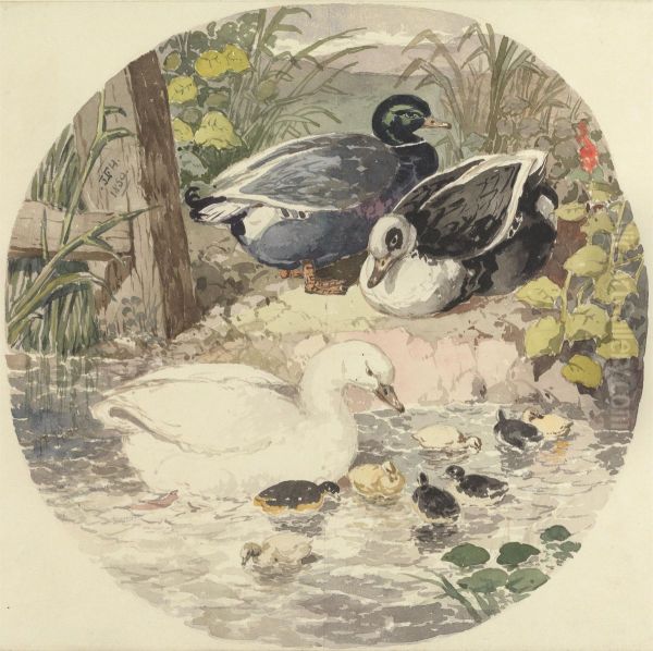 Ducks - view 1