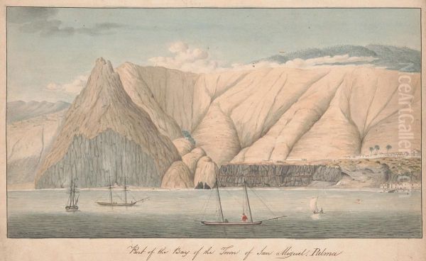 Part of the Bay of the Town of San Miguel, La Palma - view 1