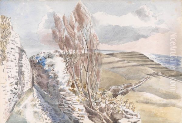 Worth Matravers, Dorset - view 1