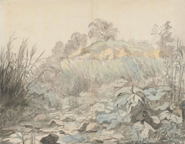 A Rocky Stream - view 1