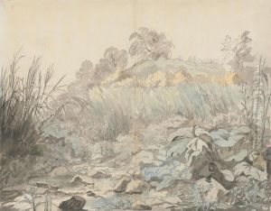 A Rocky Stream by Woodforde, Samuel