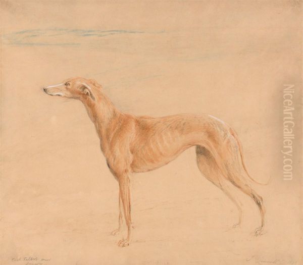 Earl Talbot's Hound, Thomasine - view 1