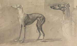 A Greyhound by Sawrey Gilpin