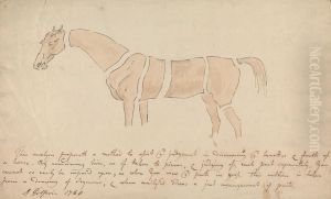 Parts of the Properly Proportioned Horse Parts of the Properly Proportioned Horse