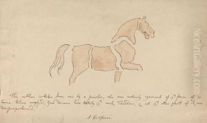 Disproportioned Horse Drawing