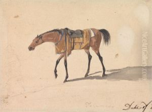 A Saddle Horse of the Duke of Devonshire