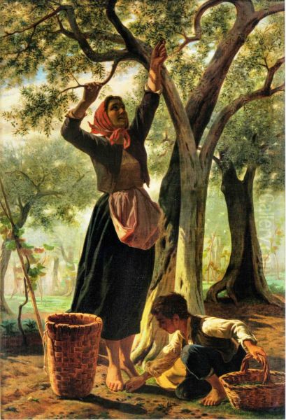 Olive picker with boy - view 1