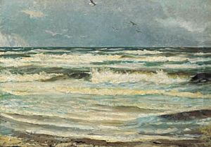 Mager ved Skagen Sonderstrand.