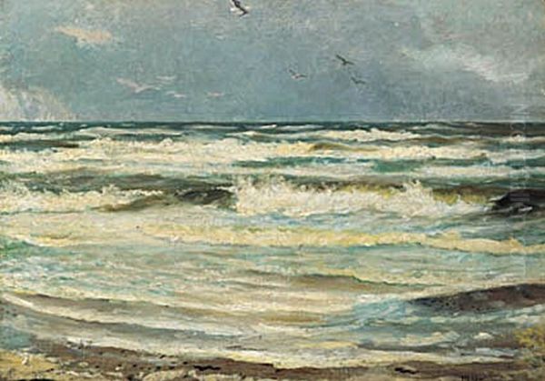 Seagulls at Skagen Sonderstrand. - view 1