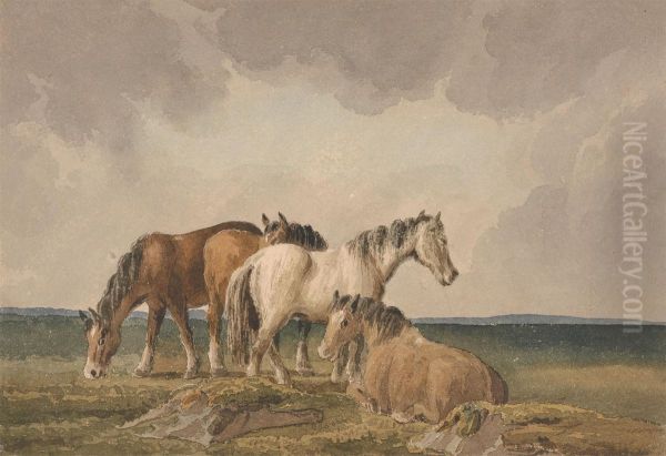 Four Ponies on a Welsh Moor - view 1