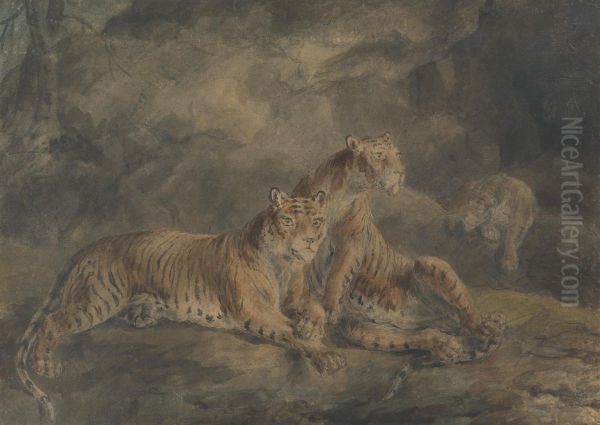 Three Tigers in a Rocky Landscape - view 1