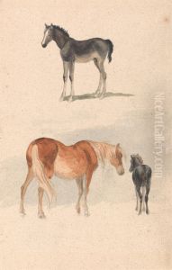 a Foal, and a Mare and Foal