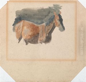 Sketch of a Horse