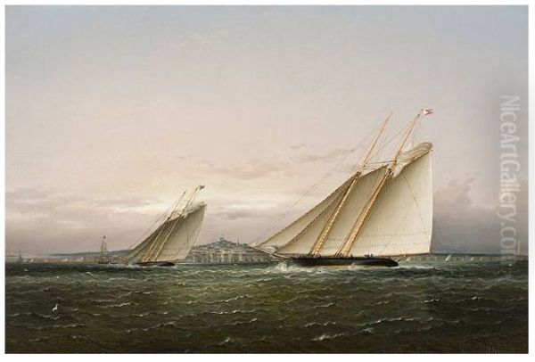 Yacht Race in Boston Harbor. - view 1