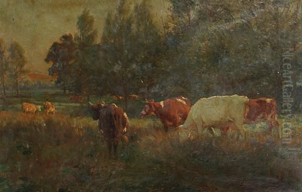 Cattle Grazing In A Meadow - view 1