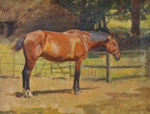 Study Of A Horse by William Frank Calderon