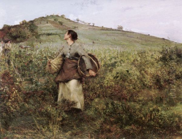 The grape harvest - view 1