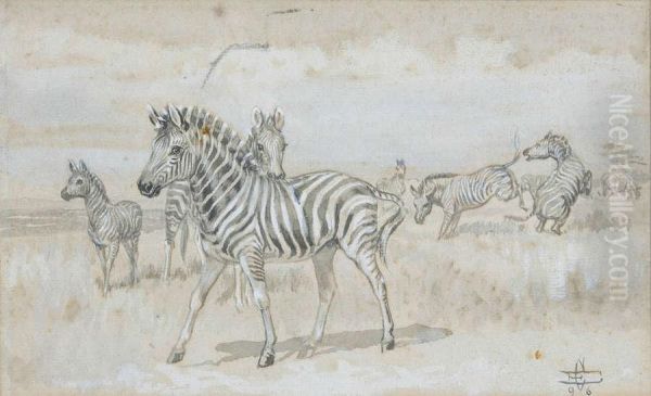 Zebra's - view 1