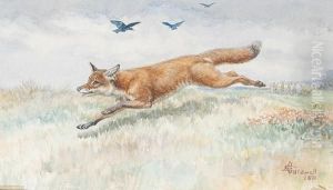 A Running Fox by Edmund Caldwell