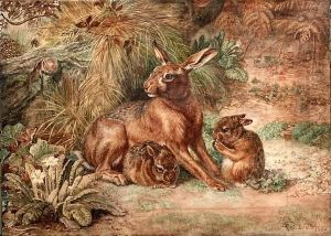 Study Of A Hare And Two Leverets