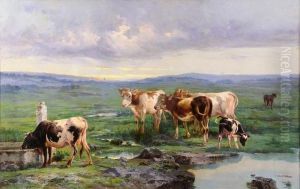 Mucche All' Abbeverata Nella Campagna Con Roma In Lontananza by John, Giovanni Califano