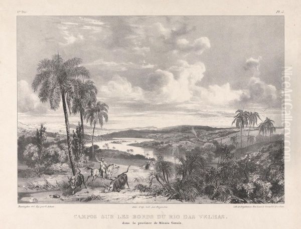 Campos sur les bords du Rio das Velhas - view 1